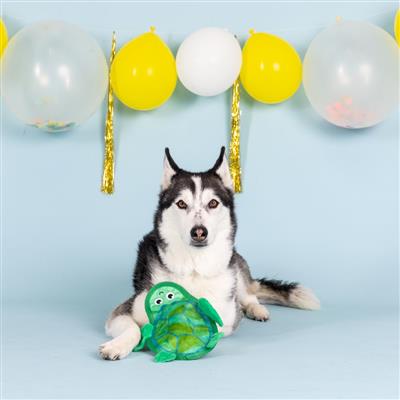 Shell of A Time Durable Plush Dog Toy