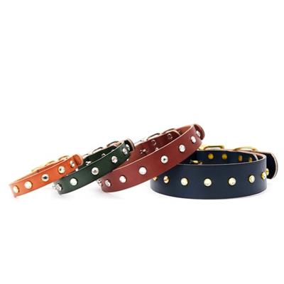 Studded Leather Dog Collar Belt Buckle Clear Gems - Coco