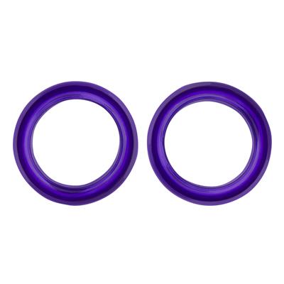Pack of 2 Premium Inserts in Purple by PetStore.Direct