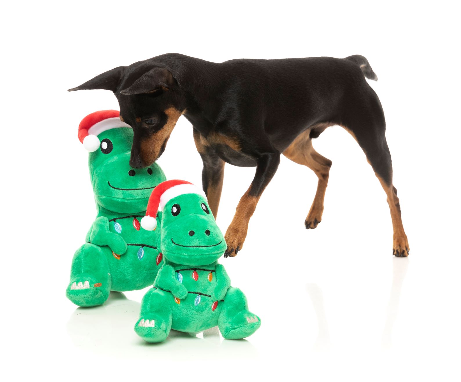 TreeRex Dog Toy by FuzzYard