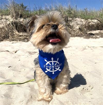 Summer Bandana | Beach Bandana | Boating Bandana | Nautical Bandana