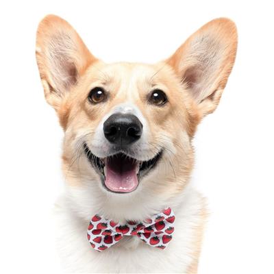 STRAWBERRY - Velcro Bow Tie