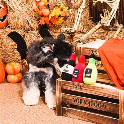 Howloween Night — Mystery Potion