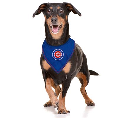 Chicago Cubs Around Bandana