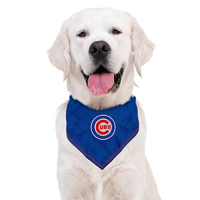 Chicago Cubs Around Bandana