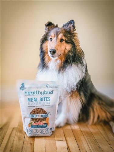Healthybud's Freeze-Dried Turkey Meal Bites for Dogs 14oz