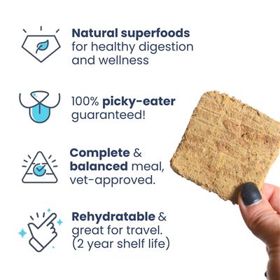 Healthybud's Freeze-Dried Beef Meal Patties for Dogs 14oz