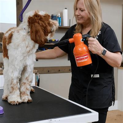 Quick Draw Compact Dog Dryer Variable Speed by Metrovac