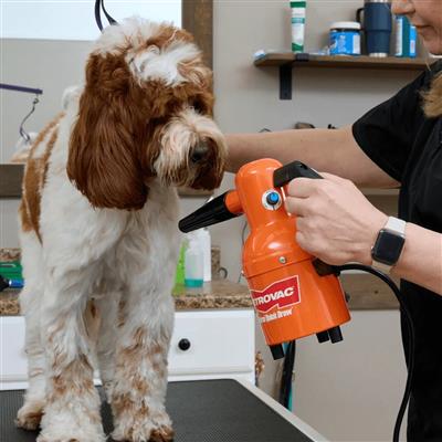 Quick Draw Compact Dog Dryer by Metrovac