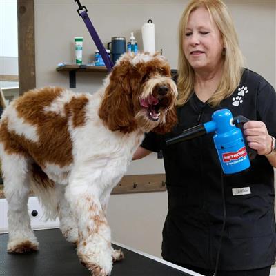 Quick Draw Compact Dog Dryer Mini by Metrovac