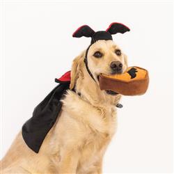 Extra Product Image