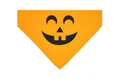Pearhead Pumpkin Bandana M/L
