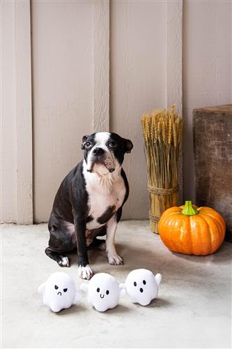 Ghosts Dog Toys, Set of 3