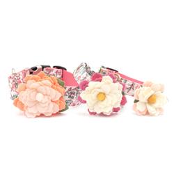 Extra Product Image