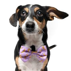 BANANAS - VELCRO BOW TIE
