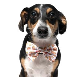 FAST FOOD - VELCRO BOW TIE