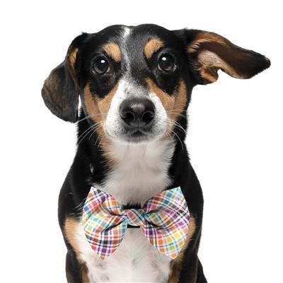 HALLOWEEN PLAID - VELCRO BOW TIE