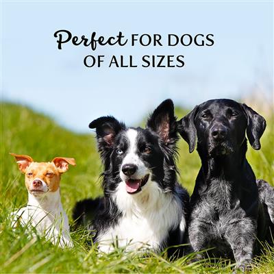 Bulk Treats – Best Buddy Bones – Peanut Butter Flavor - Grain Free, 10 lb. box