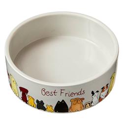 Spot Best Friends Dog Dish 1ea-5 in