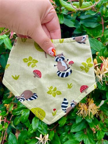 Raccoon & Mushroom Dog Bandana – Green Fall Accessory for Pets | Eco-Friendly | Toadstool Pet Scarf | Handmade in LA