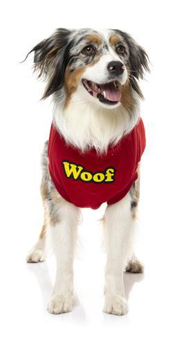 The Woof Sweater Red by FuzzYard