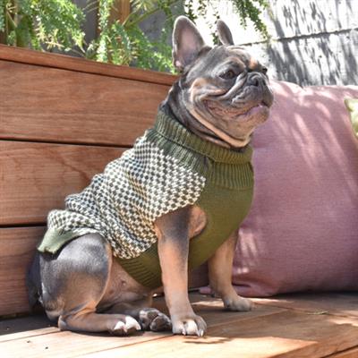 Olive Checker Sweater