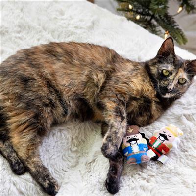 Pearhead Holiday Nutcrackers Cat Toy Set