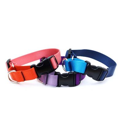 Two Toned Nylon Martingale Loop Dog Collars Side Release Buckle