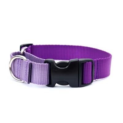 Two Toned Nylon Martingale Loop Dog Collars Side Release Buckle