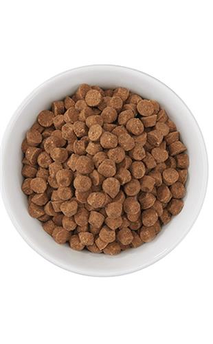 TIKI PET CAT CARNIVORE GRAIN FREE CHICKEN & HERRING 2.8LB