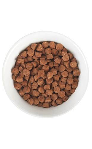 TIKI PET CAT CARNIVORE KITTEN GRAIN FREE CHICKEN & EGGS 2.8LB