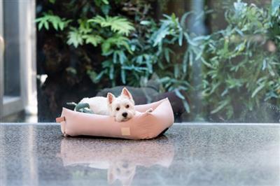 FuzzYard Life Bed - Soft Blush