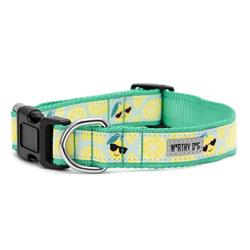 Extra Product Image