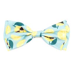 Lemons Bow Tie