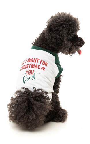 T-Shirt All I Want For Christmas Is Food