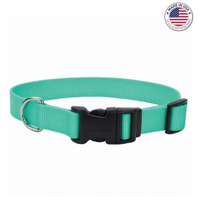 Coastal® Adjustable Dog Collar with Plastic Buckle, Teal