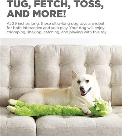Outward Hound Longidudes Dino Plush & Squeaky Dog Tug Toy