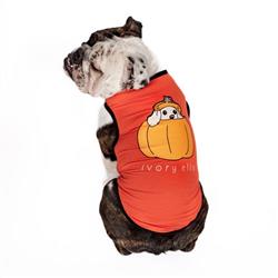 Extra Product Image