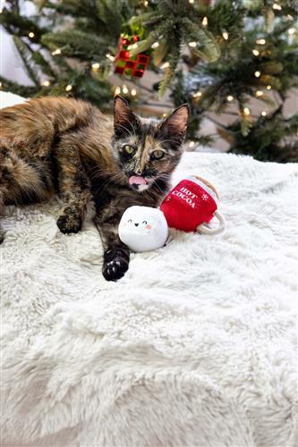 Hot Cocoa Cat Toy Set by Pearhead