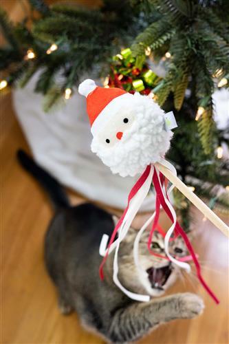 Santa Cat Teaser by Pearhead
