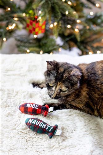 Naughty Or Nice Cat Toy Set by Pearhead
