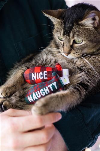 Naughty Or Nice Cat Toy Set by Pearhead