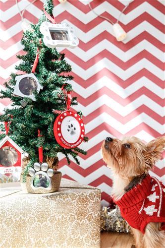 Double Sided Photo/Ink Ornament by Pearhead