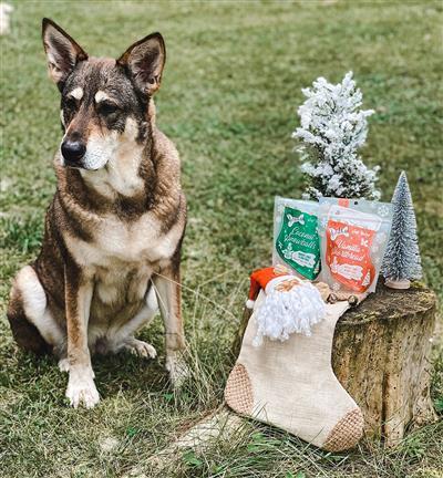 Coconut Snowballs Stocking by The Lazy Dog