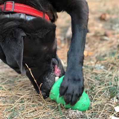 Sodapup MKB Christmas Tree Durable Dog Chew Toy Green Large 4.75"
