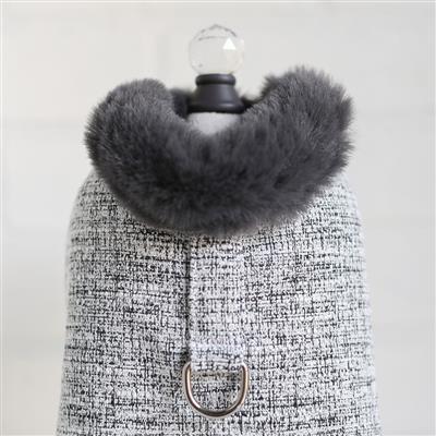 Zha Zha Dog Coat: Alloy