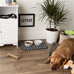 Extra Product Image