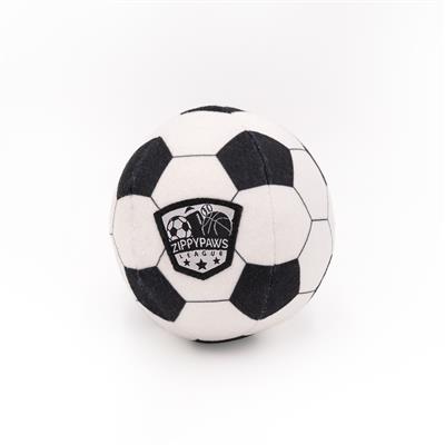 SportsBallz - Soccer