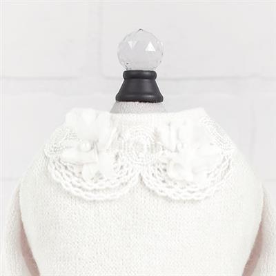 Sweet Magnolia Dog Sweater: Cream
