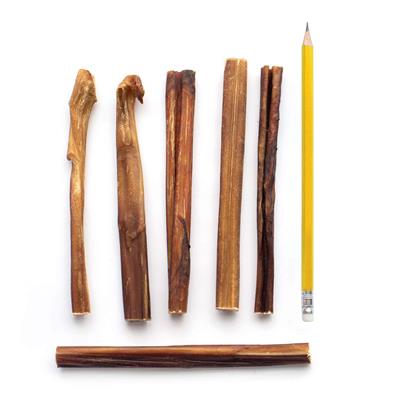 6" Junior Bully Sticks